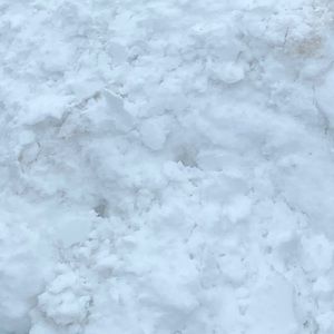 Meet your Posher, Jazmyn